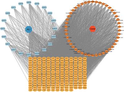 Integrating UPLC-Q-Orbitrap MS with serum pharmacochemistry network and experimental verification to explore the pharmacological mechanisms of Cynanchi stauntonii rhizoma et radix against sepsis-induced acute lung injury